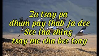 Zu zay pa  kinley tshering  Dechen Pem  Bhutanese karaoke song with lyrics [upl. by Fanchette]