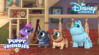 Puppy Vriendjes  De Speelopvang  Disney Channel NL [upl. by Ennaeirrac]