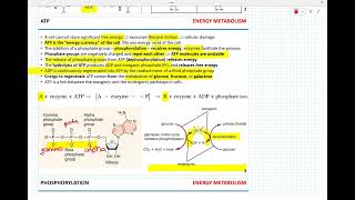 Week 7  Cellular respiration [upl. by Yukio]