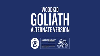 Woodkid  Goliath Alternate Version [upl. by Kcirtapnaes862]