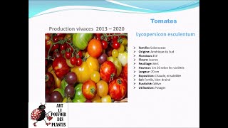 Fiche technique Tomates Lycopersicon esculentum Plante annuelle [upl. by Lebanna]