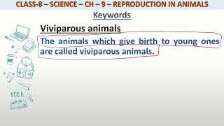 Definition of Viviparous animals for class 8 science [upl. by Nnylhsa]