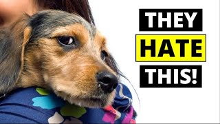 7 THINGS Dogs Hate That Humans Do [upl. by Briana]