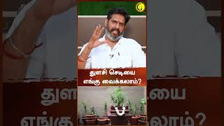 துளசி செடியை எங்கு வைக்கலாம்  Magesh Iyer  shorts  Guru [upl. by Costanza]