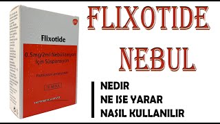 FLIXOTIDE Nedir Niçin Kullanılır Nasıl Kullanılır Yan Etkileri Nelerdir [upl. by Hamian718]