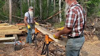 0189 DIY Alaska off grid cabin build Last two logs going up on the walls of the homestead cabin [upl. by Sasnett142]