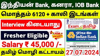 INDIAN BANK RECRUITMENT 2024 IN TAMIL😍IBPS CLERK NOTIFICATION 2024 TAMIL👉GOVT BANK JOB VACANCY 2024 [upl. by Eirahs]