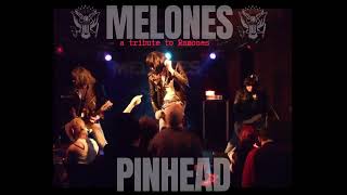 MELONES a tribute to Ramones quotPINHEADquot [upl. by Aztiley]