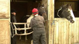 Loan horse helps boys with challenging behaviour [upl. by Nielsen801]