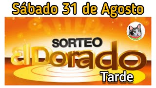 Resultado EL DORADO TARDE Sabado 31 de Agosto de 2024 [upl. by Nollid]