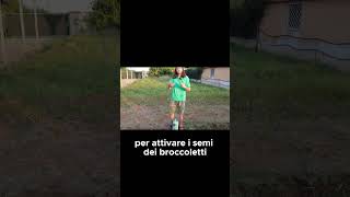 Come ANNAFFIARE i SEMI dei RAVANELLI  GUARDA IL VIDEO COMPLETO shorts [upl. by Ekim]