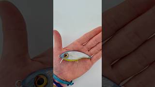 All the big lures i have made until now 🤩 lure fishinglure handmadefishinglure handmadelure [upl. by Gaskin]