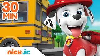 PAW Patrol Back to School Rescues amp Adventures  30 Minute Compilation  Nick Jr [upl. by Hurwit]