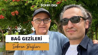 Sobran Bağları Gezisi Bağcılık ve Şarap Üretimi [upl. by Delbert]