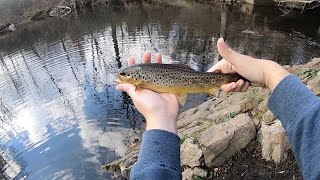 Fishing and Exploring NJ’s Headwater Streams  November 2024 Bass and Trout [upl. by Ynnol]