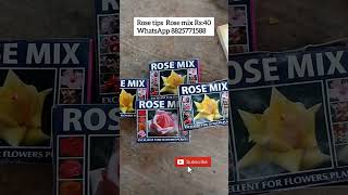 Rose tips new plant tips trendingshorts shortsviral rosevlog [upl. by Elston]