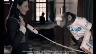 TV Spot 1240 Pagine Bianche quotSpringquot by italian TVC Director Francesco Nencini [upl. by Ruthann208]