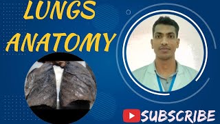 Lungs Viscera Bangla Demo Thorax Anatomy anatomy prof mbbs viva thorax viscera [upl. by Eseeryt968]