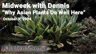 Midweek with Dennis  quotWhy Do Asian Plants Do So Well in the Southeastern USquot [upl. by Nylesor]