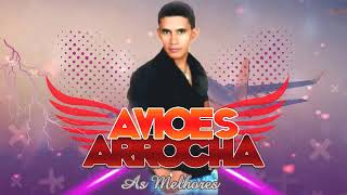 AVIOES DO ARROCHA SO AS MELHORES [upl. by Cari]