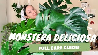 MONSTERA DELICIOSA CARE  PROPAGATION  indoor swiss cheese plant care [upl. by Laith201]