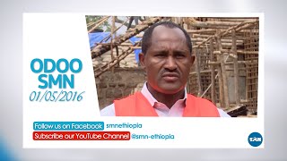 01052016 SMN ODOO  ጥር 01 2016 ዓም የምሽት 0230 ሲዳምኛ ዜና [upl. by Nedloh916]