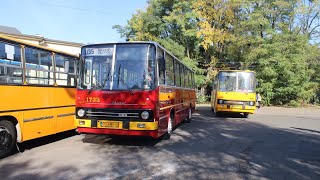 🇵🇱PL MPK Poznań Wrocław  Ikarus 26004 1735  🚍135➡️PILCZYCE [upl. by Ilse]