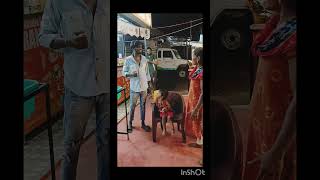 A neku yatala 😁😂prasaddivyaofficial comedy funny youtubeshorts viralvideos [upl. by Sanfourd602]