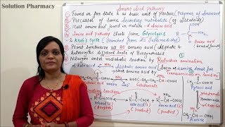 Class 07 Amino Acid Pathway Part 01  Introduction Reductive amination and Transamination [upl. by Nnairam]