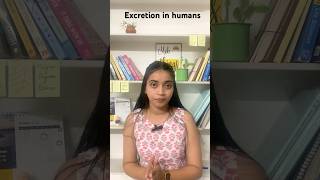 Excretion in one shot lifeprocesses class10biology neet excretion aiims neetncertbiology [upl. by Tania448]