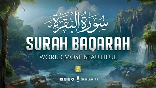 Surah Al Baqarah Full سورة البقره  Relaxing Calming amp Heart Touching Quran  Zikrullah TV [upl. by Hyacinthie]