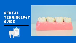 Basic Guide of Dental Terminologies  Landmarks on Tooth Surfaces  Dental Anatomy Basic Terminology [upl. by Narad]