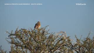 A birder’s paradise [upl. by Hael]