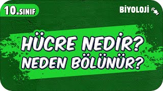 Hücre Nedir Neden Bölünür  10Sınıf Biyoloji 2025 [upl. by Atworth]