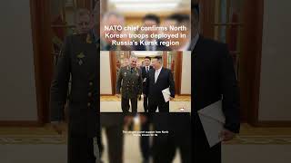 NATO Chief Rutte Condemns North Koreas Alleged Weapon Supply to Russias Wagner Group [upl. by Ellehsyt]