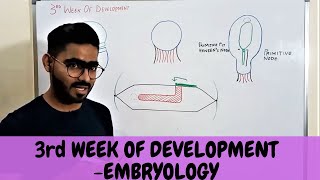 Third Week Of Human Development  GENERAL EMBRYOLOGY  urdu \ Hindi [upl. by Enaywd553]