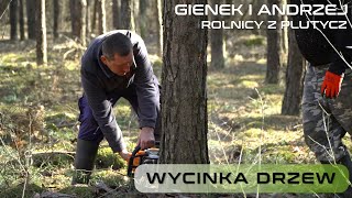 Wycinka drzew u Gienka i Andrzeja Rolników z Podlasia [upl. by Ycniuqal]