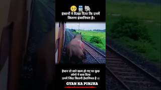 Elephant Accident  🚆animals🐘wildpredator 🇮🇳 aesthetic💯 wildlife elephant natureviralvideo🔥 [upl. by Ayotahs13]