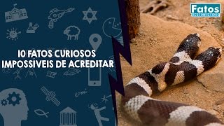 10 Fatos curiosos impossíveis de acreditar [upl. by Kalman]