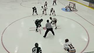 UMC Hockey Game January 27th random clips of random plays [upl. by Avika]