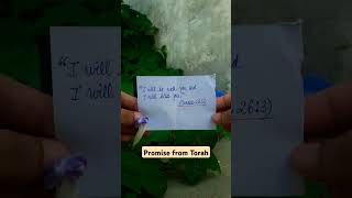 Promise from the book of Torah  Genesis 236  torah jewish jews shorts genesis [upl. by Alanna120]