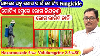 ଧାନରେ ସବୁ ରୋଗ ପାଇଁ ଗୋଟିଏ Fungicide Best fungicide for paddy [upl. by Abernon]