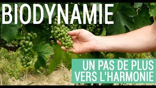 Lumières Sur 8  Biodynamie un pas de plus vers lharmonie [upl. by Illa]