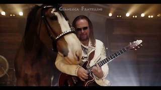 quotBudweiserquot Super Bowl Commercial with 3D Horses  We will rock you  Queen [upl. by Ileray]