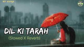 New romantic trending song 2024  Dil ki tarah song  slowed X Reverb  new lofi song hindisong [upl. by Armillia648]