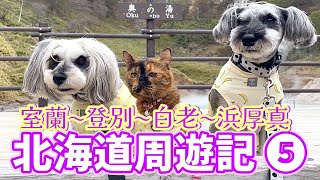 【北海道周遊記⑤】犬と猫とわたしの車旅トッカリショ展望台イタンキ浜登別地獄谷大湯沼浜厚真海浜公園 [upl. by Sev321]