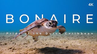 This is Bonaire 4k  Pride of the Dutch Caribbean [upl. by Anyrak]