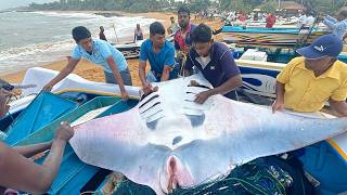 Amazing Rural beautiful village daily hard life of fishermen and fish harvest [upl. by Servetnick967]