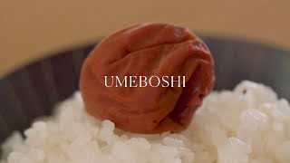 Umeboshi 🍑 Japanese pickled plums [upl. by Ynavoeg973]