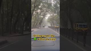 Link Road Jamshedpur viralvideo trending views nature [upl. by Hsiri480]